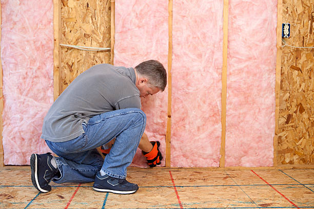 Types of Insulation We Offer in North Star, DE